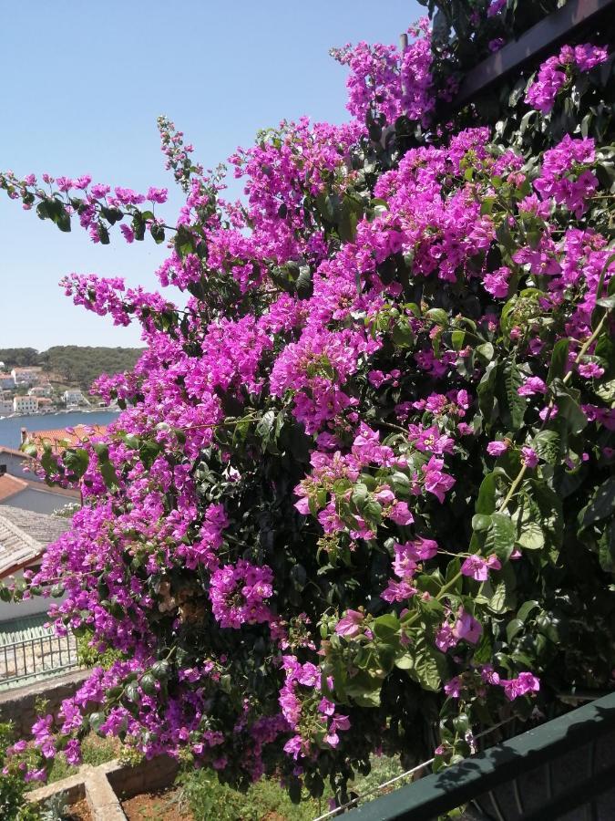 Fioretta Mali Lošinj Exterior foto